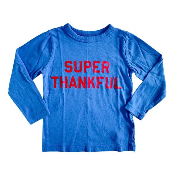 Crewcuts Blue Super Thankful Long Sleeve Tee VGUC Size 2 - Picture 1 of 4